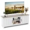 Modern TV Stand for Flat Screen TVs up to 65 Inch with Storage Cabinet and Open Shelves White and Black Engineered Wood Media Console Table